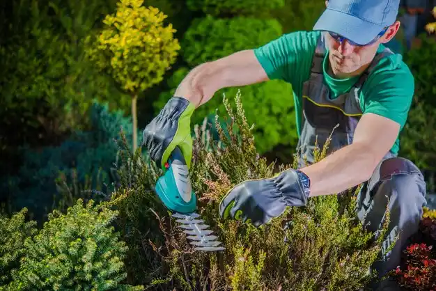 landscaping services Bell City